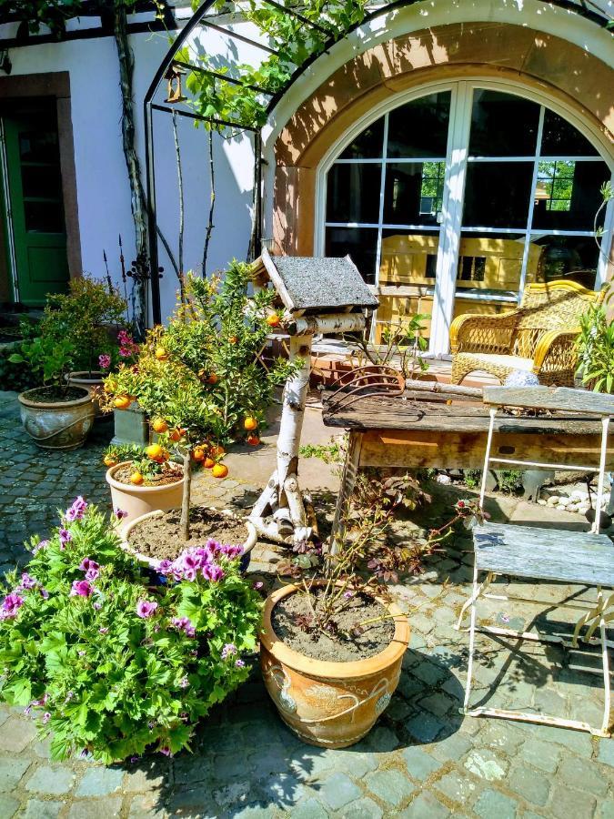 Willkommen In Unserem Kleinen Paradies Venningen Екстериор снимка