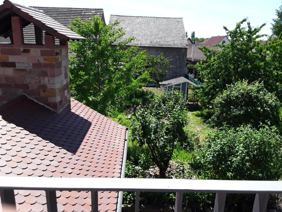 Willkommen In Unserem Kleinen Paradies Venningen Екстериор снимка