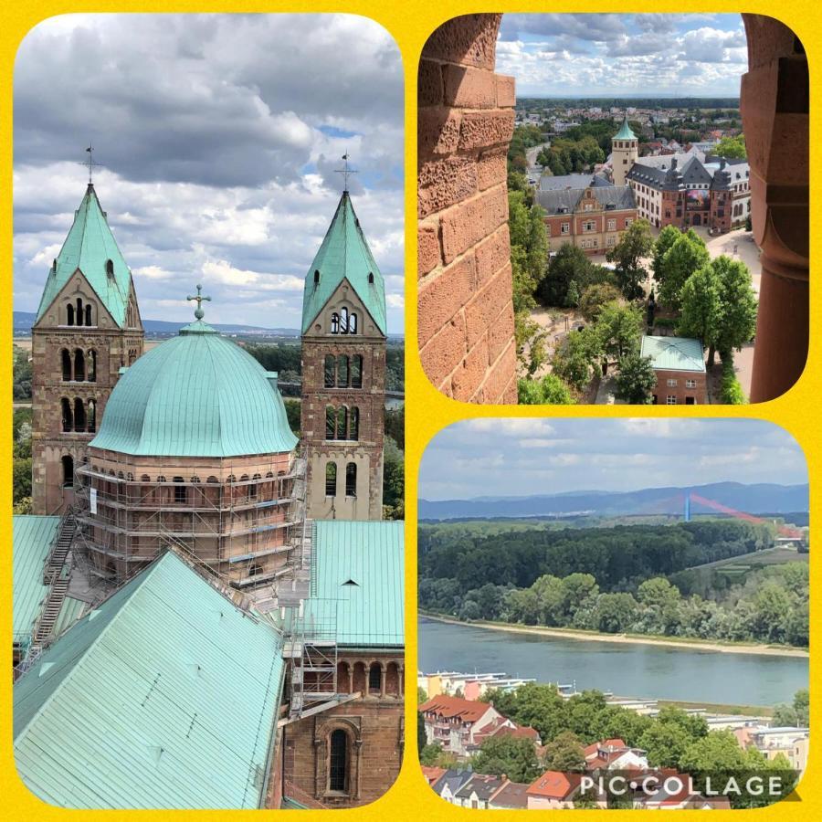 Willkommen In Unserem Kleinen Paradies Venningen Екстериор снимка